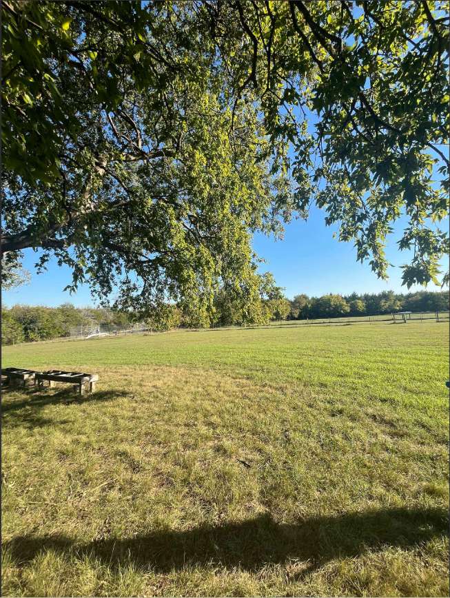 Private Off-Leash Dog Haven 5 min walk from Lake Launch Ramp