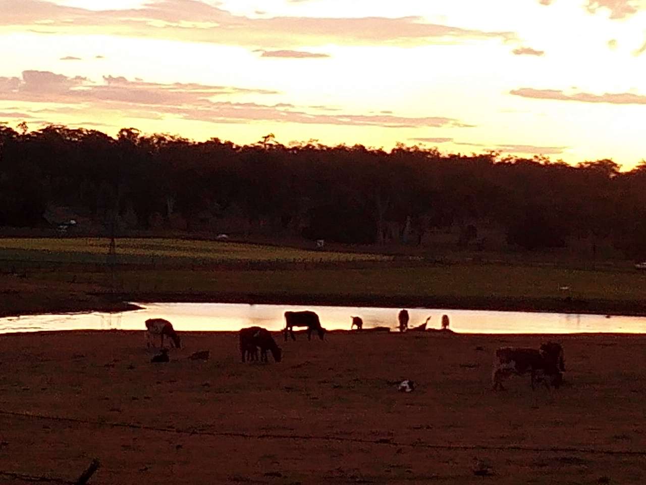 Sunset over the dam
