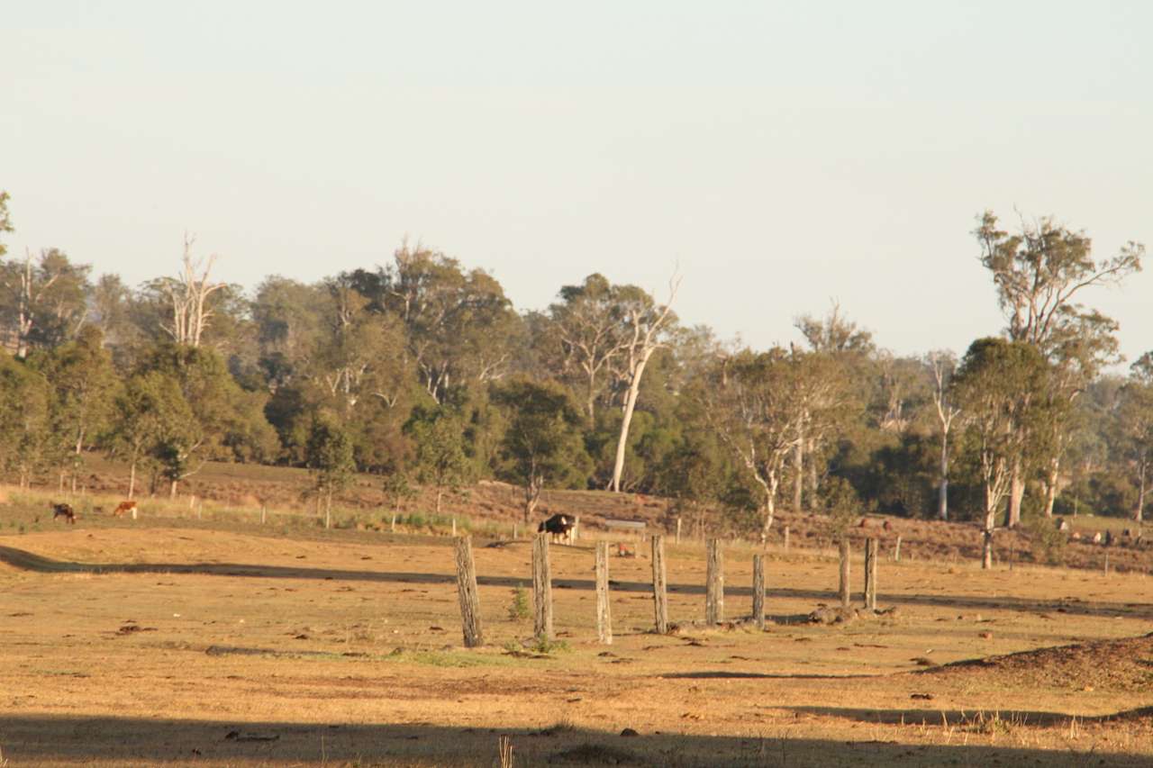 Adavale Farm experience