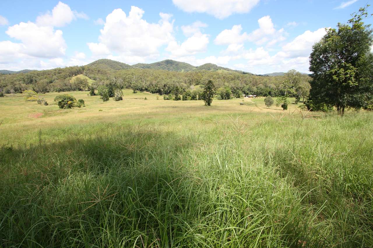 View to cabins and camping