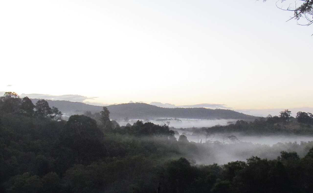 Misty evenings