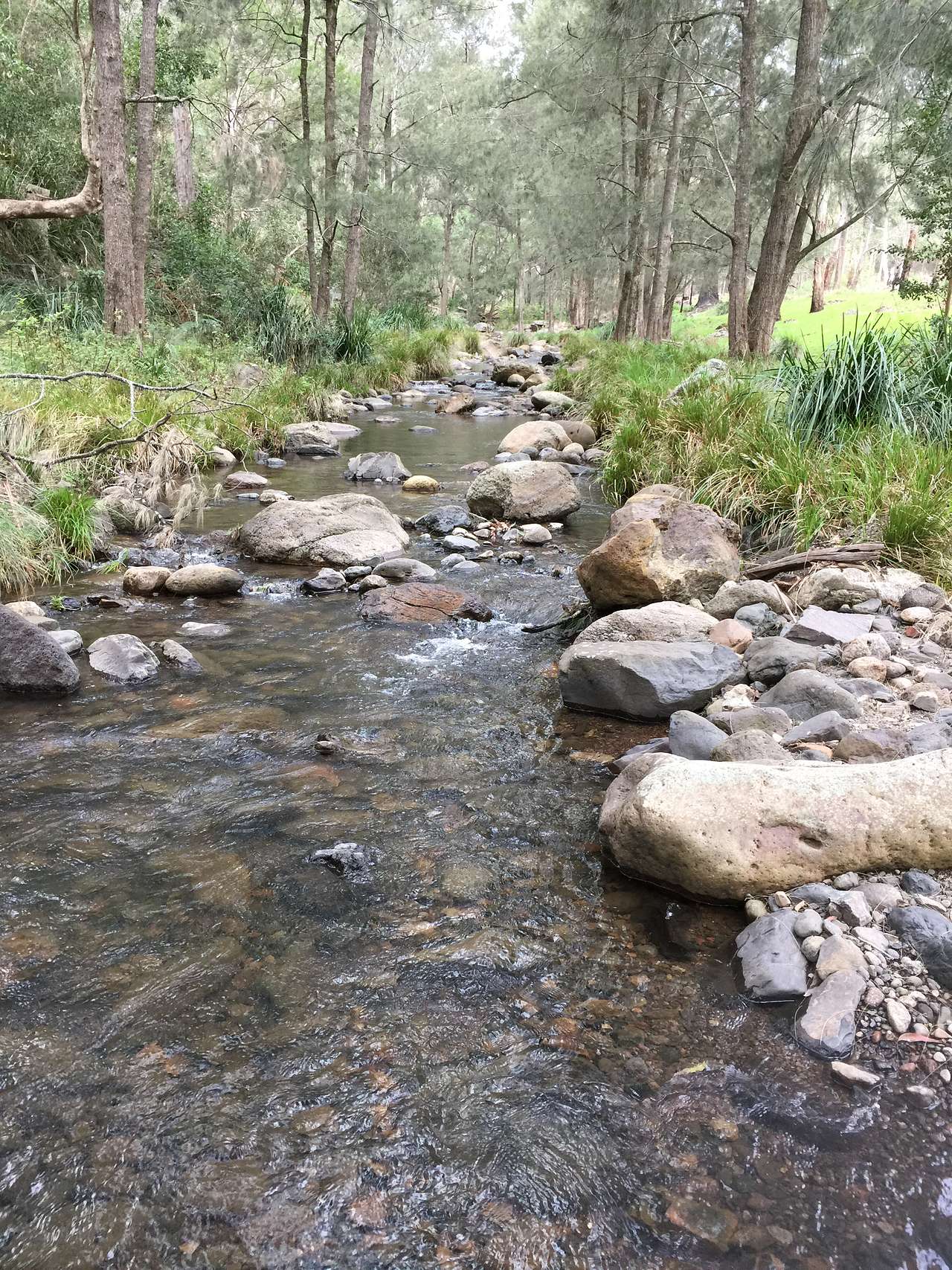 Healthy flow. Sites on right.