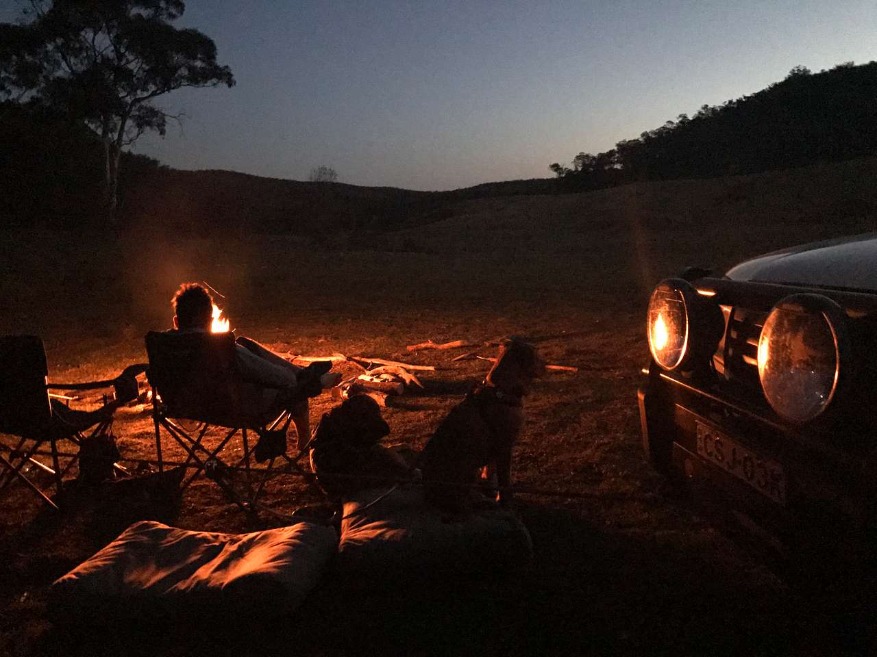 Happy dogs and happy campers after a day of walks and nature therapy 