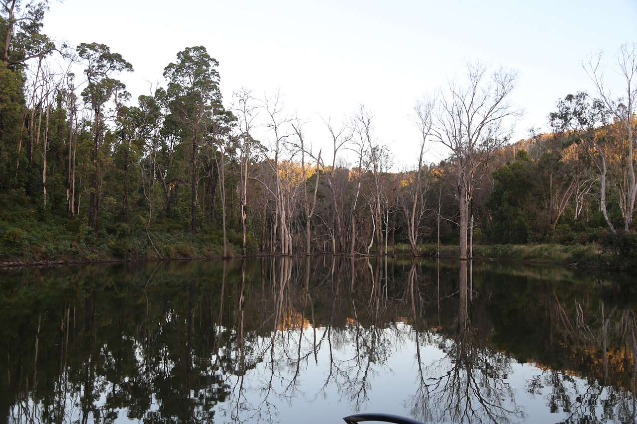 Views over our dam/lake