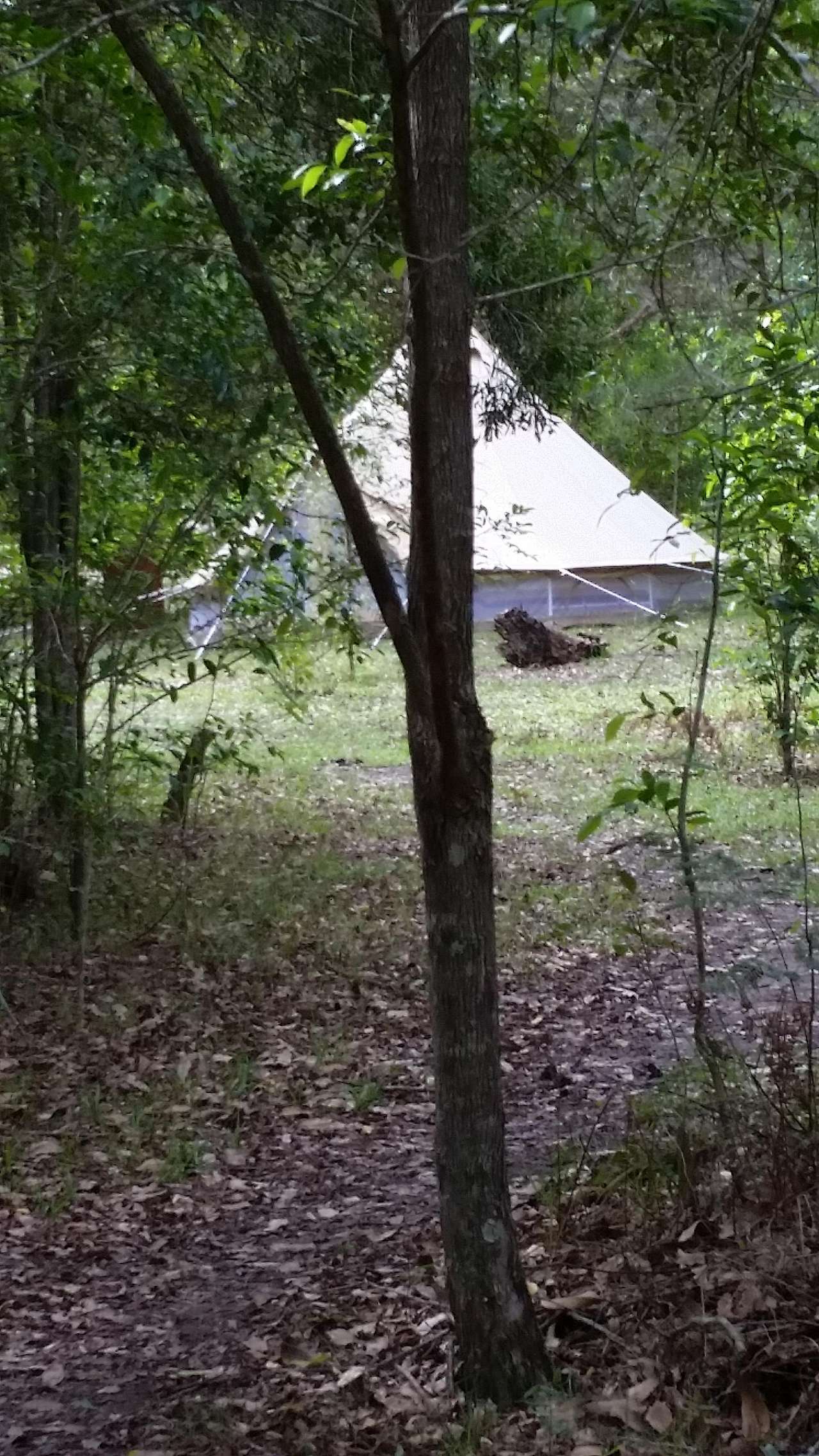 Secluded sites