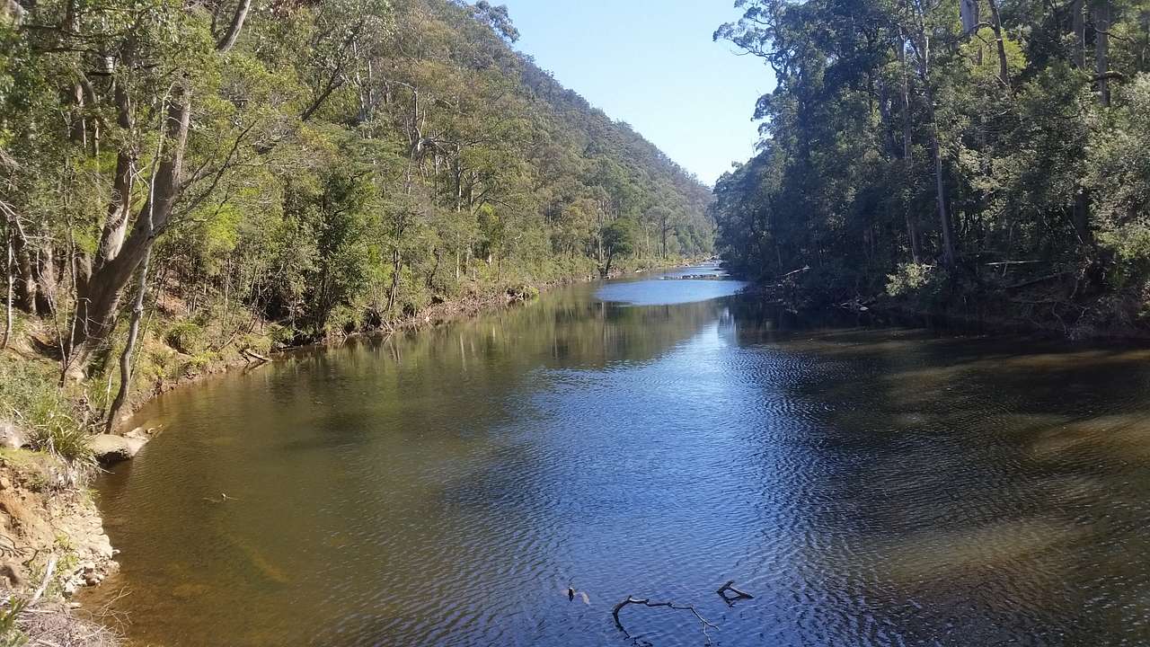 Looking SW up river