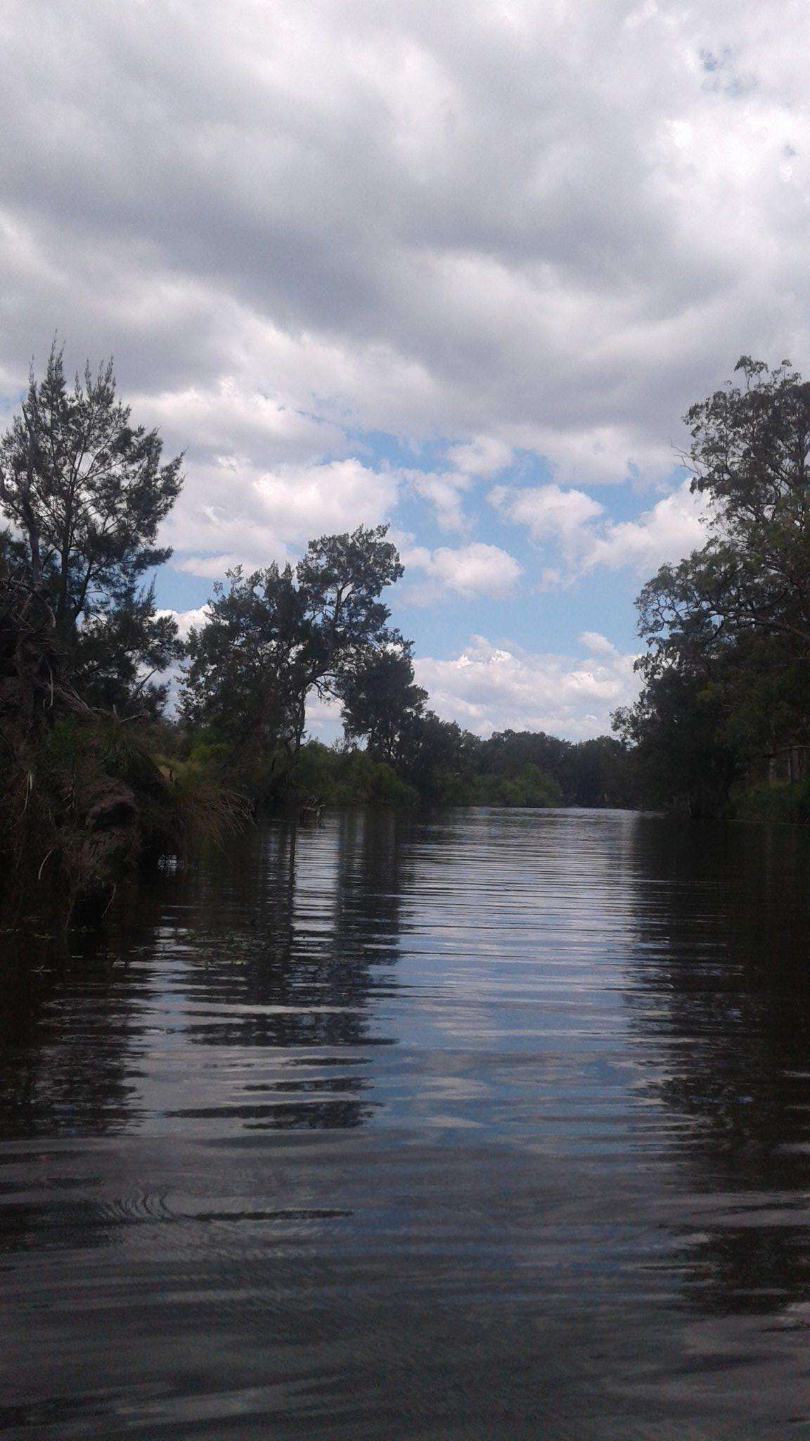 Looking upstream