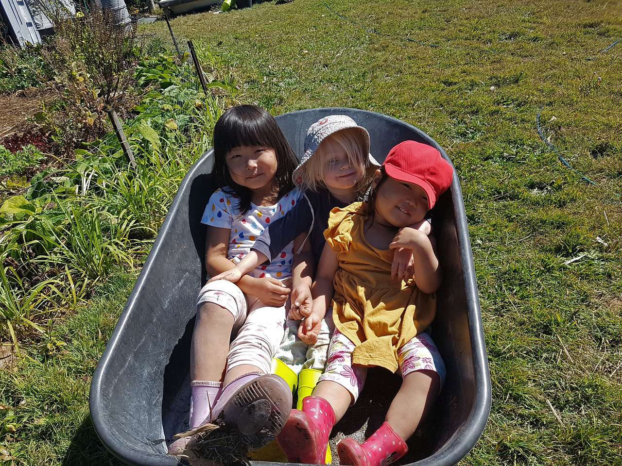 Working hard on the farm
