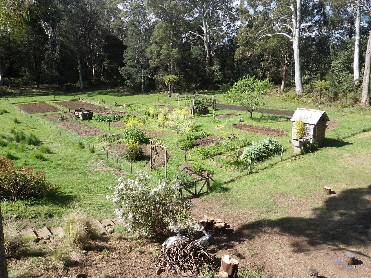 Vegetable garden