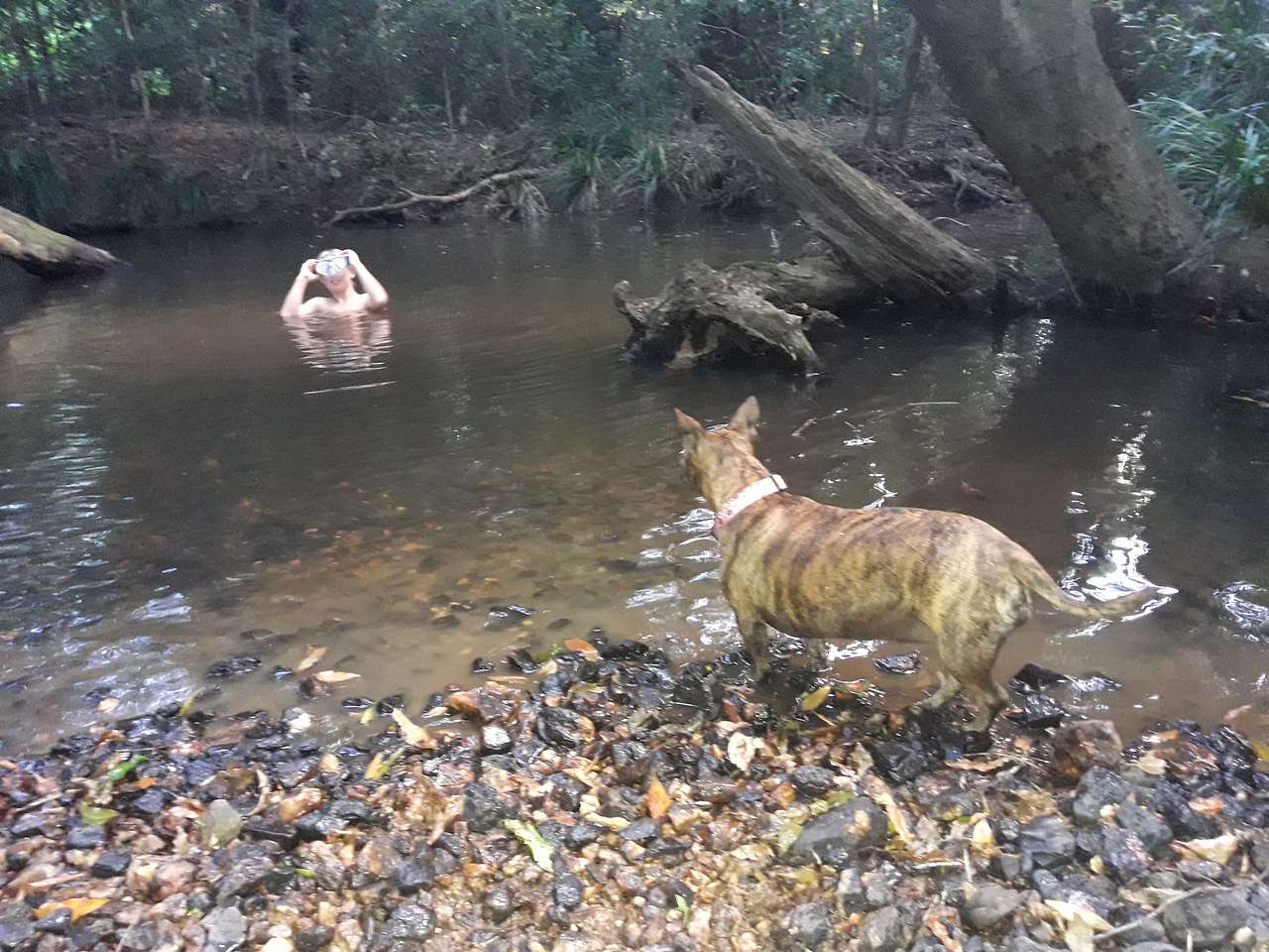 swimming hole