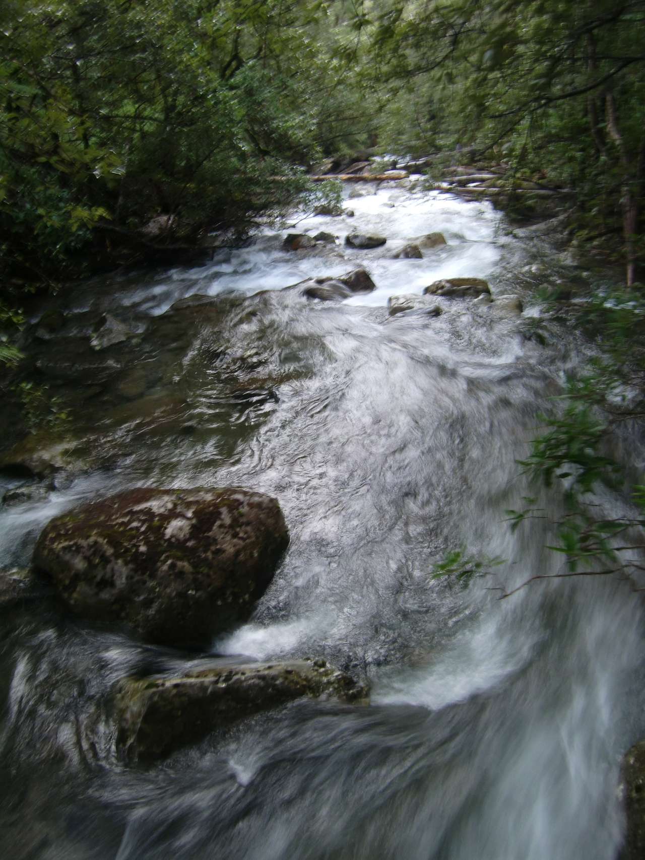 The beautiful clear Dale Brook