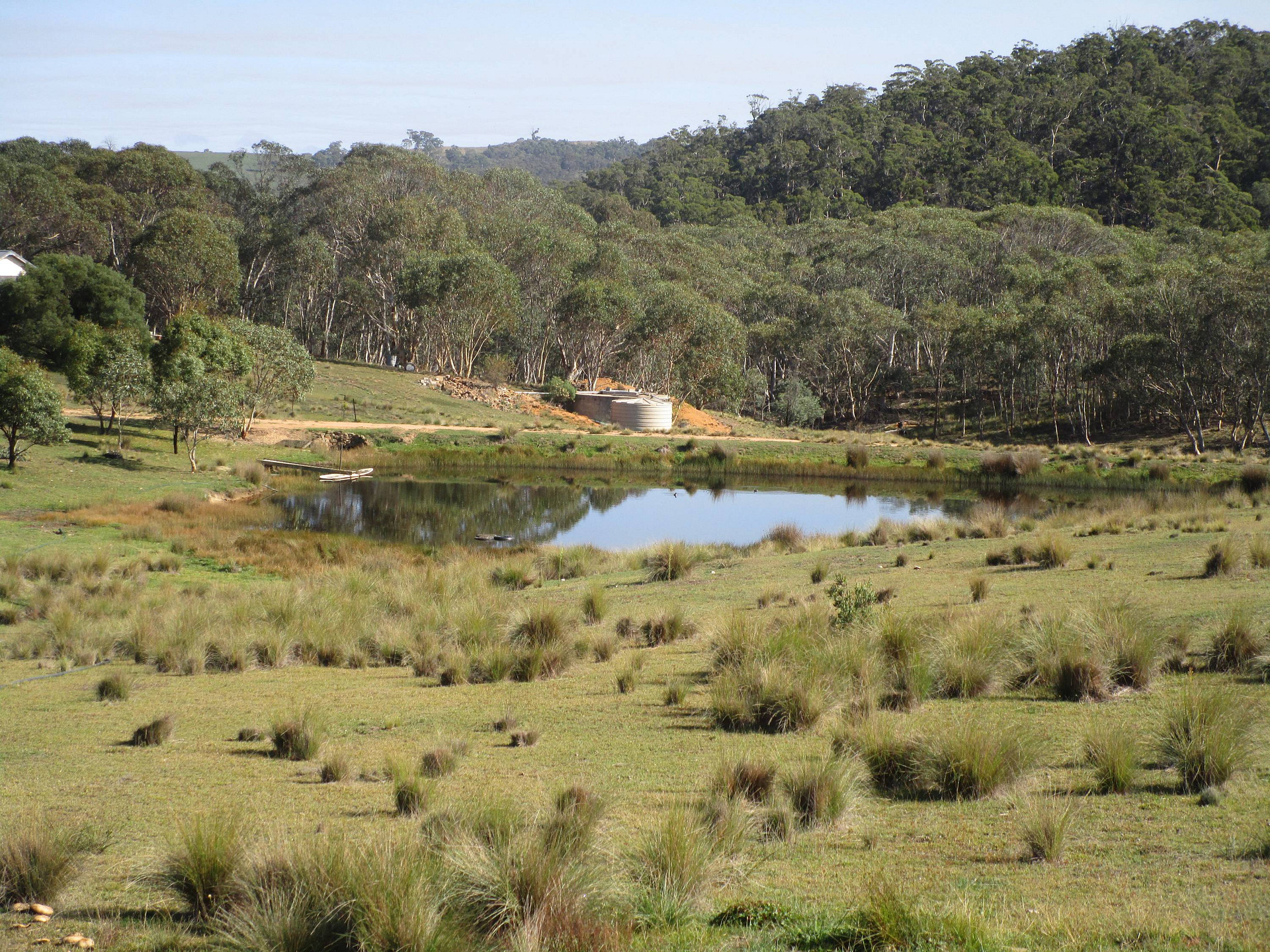 The Dam 