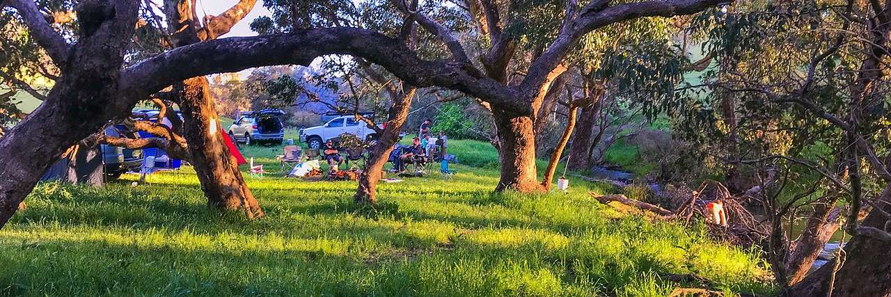 Bolinda Vale Farm