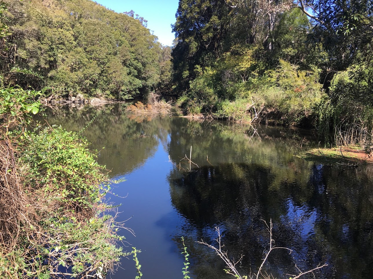 Site 4