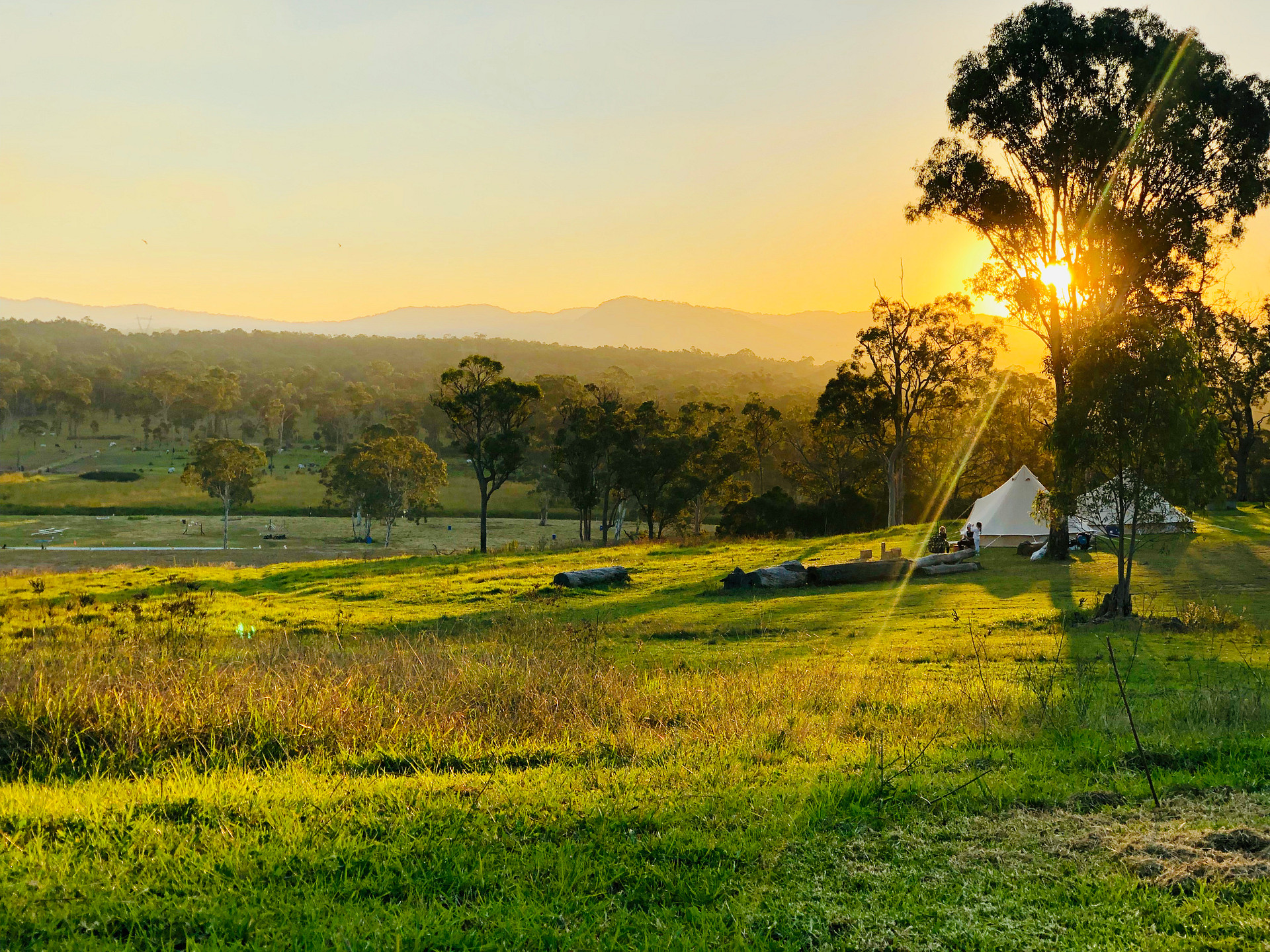 A view over the property