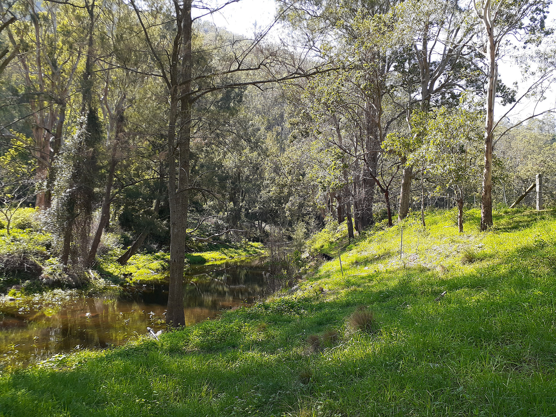 Water hole in Orchard paddock