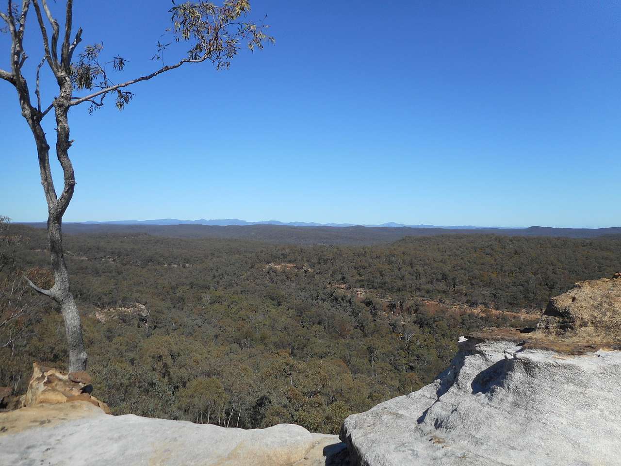 Bush walking view