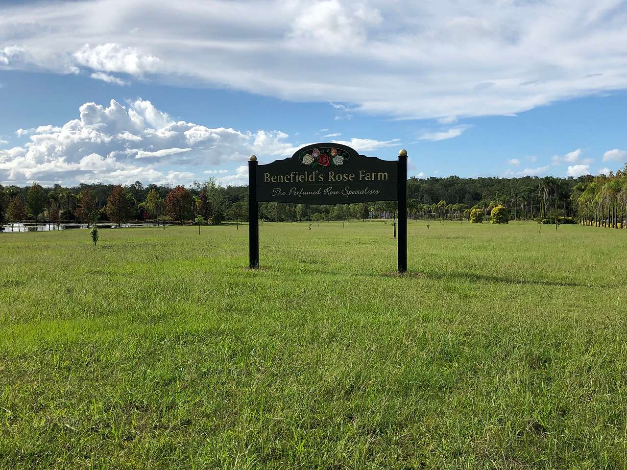 Wide open spaces