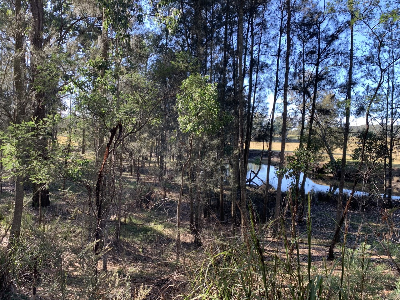 Tomakin River Camping
