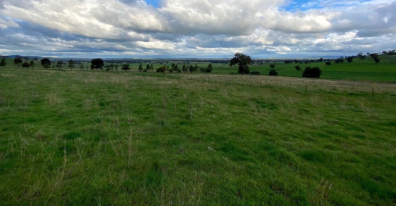 Wagga Bundaleer