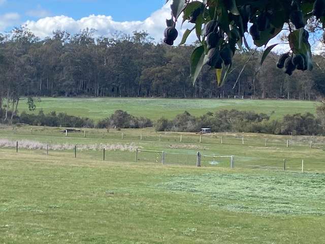 Amber Ridge Estate
