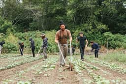 The Huckberry crew hard at work in the garden.