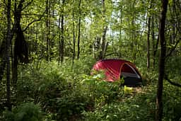 Camp Palustria