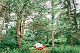 camp surrounded by beautiful Hemlock & Black Locust trees