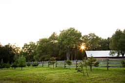 Trailside Ranch Cabin Rentals