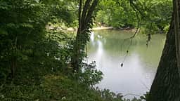 River Bluff Woods