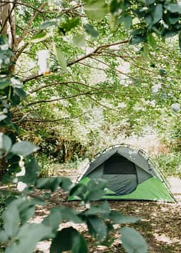 My little campsite in a perfectly shady spot on the back of the property to the left of the driveway