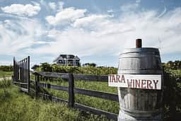 Entrance to TARA Vineyard & Winery estate.
