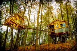 Whimsical Treehouses and Trails!!