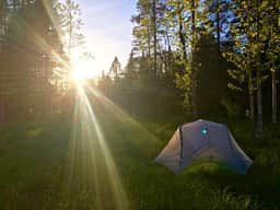 Camping in the field. Picture credit to Emma Cotton