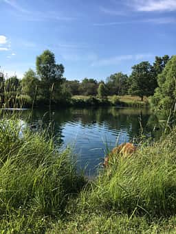 The larger basin of the pond, perfect for swimming, floating or just listening to the bullfrogs.  