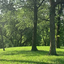 Typical scene on the property