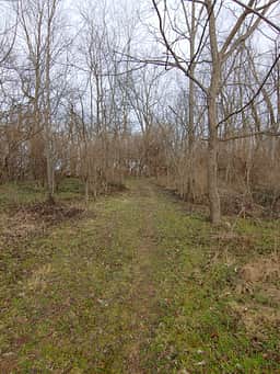Hiking trail.