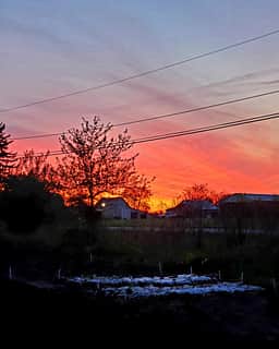 Sundown overlooking the community garden neighboring the site
