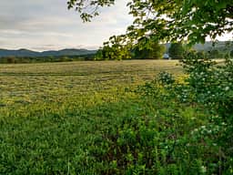This is one of the views from Yon Barn.