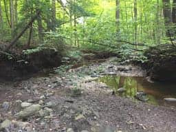 This is the chance creek, near site #2