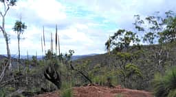 View from the top
