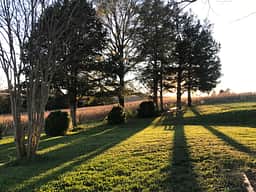 Historic Hobby Farm