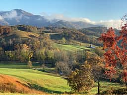Smoky Mtn Mangalitsa River Ranch