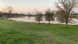 Our view from the tent.