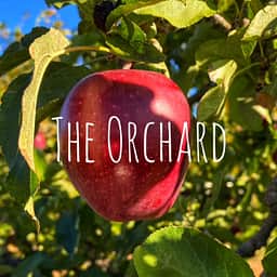 The Orchard