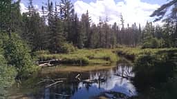 RV-tent,gorgeous PRIVATE water view