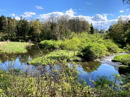 Vista views of Cascadilla Creek as it bends into a pond where you can float, row or swim. 