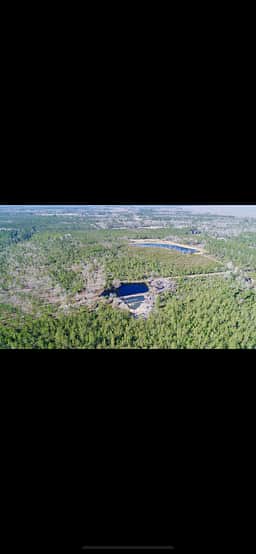 The Pine Tree Retreat