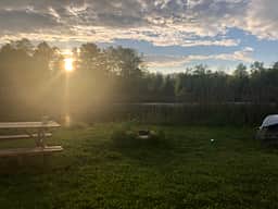 Gus's Gardens