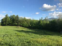 Peregrine Farm and Forest